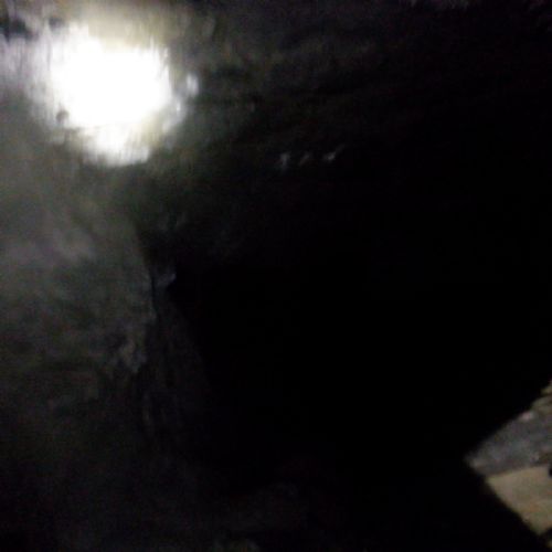 S0082312