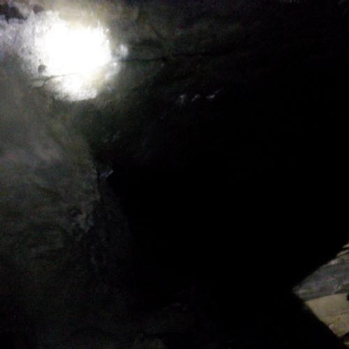 S0082313