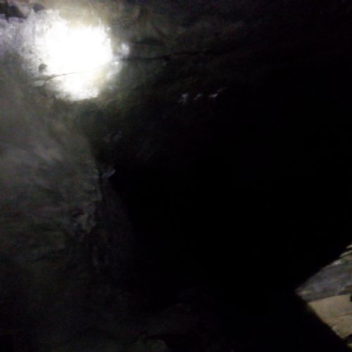 S0082314
