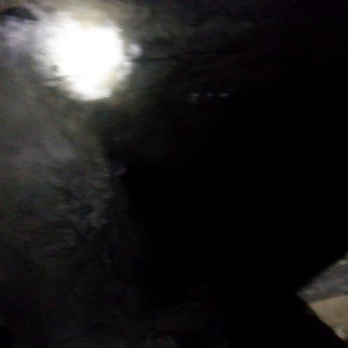 S0082317