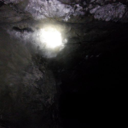 S0082318