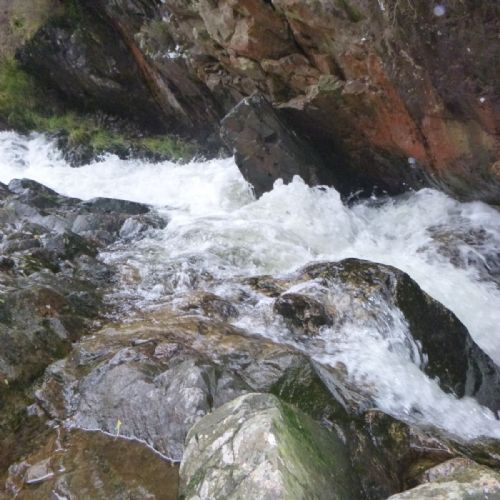P1040120