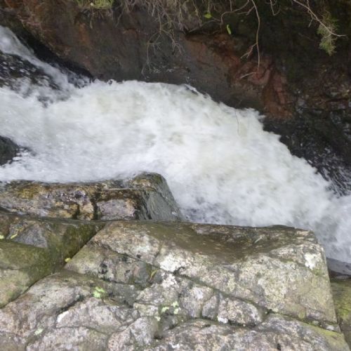 P1040121