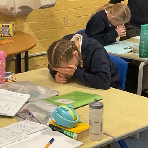 Science - light investigation