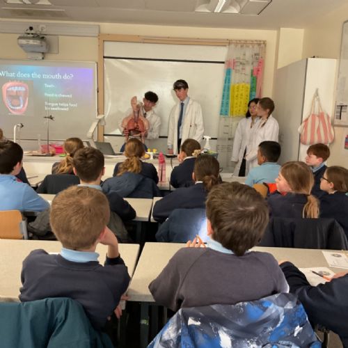 Science (digestion) at Malvern College