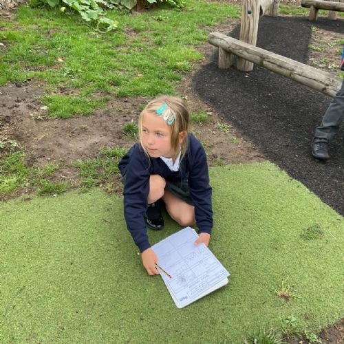 Art - Textures outside