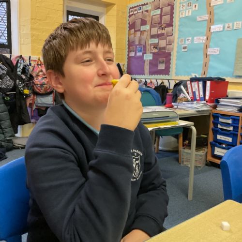 Food tasting in DT to discover different flavours